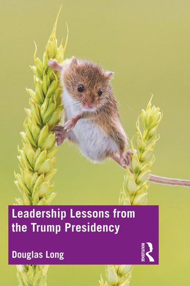 bokomslag Leadership Lessons from the Trump Presidency