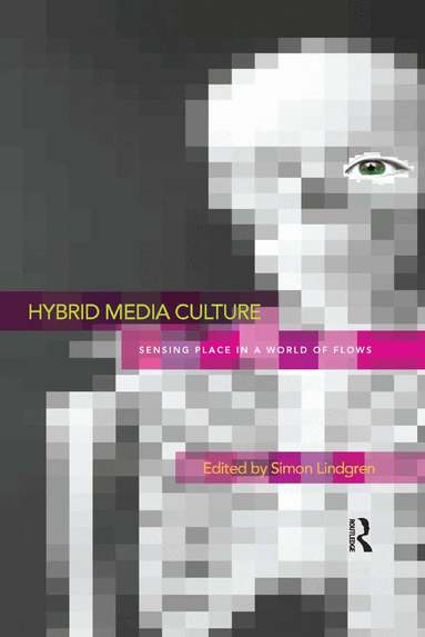 Simon Lindgren - Hybrid Media Culture, Häftad