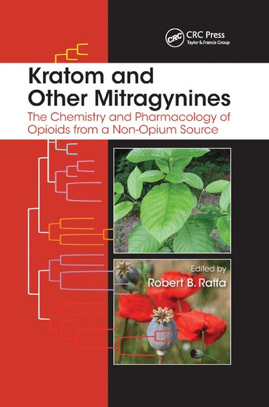 Robert B. Raffa - Kratom and Other Mitragynines, Häftad