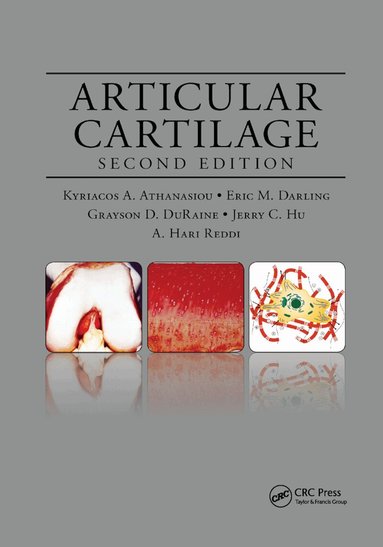 Kyriacos A. Athanasiou, Eric M. Darling, Jerry C. Hu, Grayson D. DuRaine, A. Hari Reddi - Articular Cartilage, Häftad