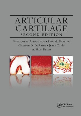 Articular Cartilage 1