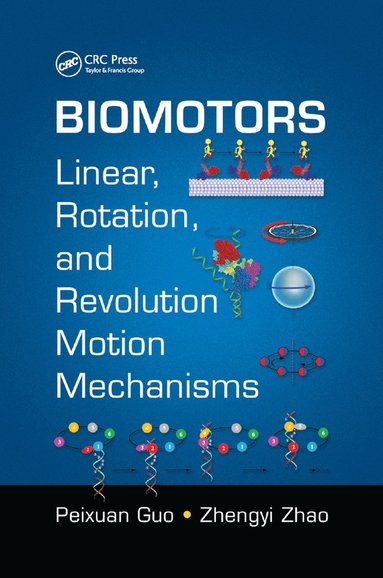 bokomslag Biomotors