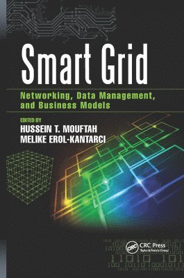 Smart Grid 1