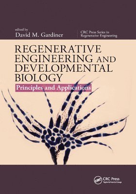 bokomslag Regenerative Engineering and Developmental Biology