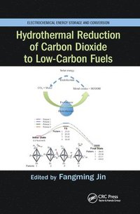 bokomslag Hydrothermal Reduction of Carbon Dioxide to Low-Carbon Fuels