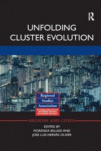 bokomslag Unfolding Cluster Evolution