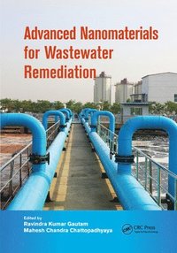 bokomslag Advanced Nanomaterials for Wastewater Remediation