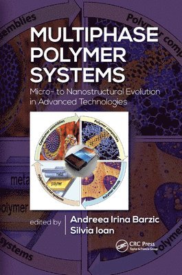Multiphase Polymer Systems 1
