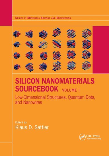 Klaus D. Sattler - Silicon Nanomaterials Sourcebook, Häftad