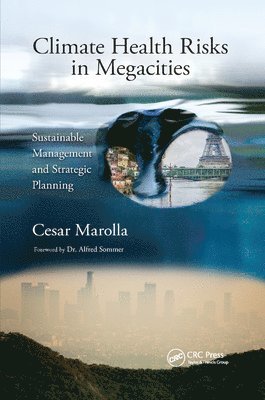 bokomslag Climate Health Risks in Megacities