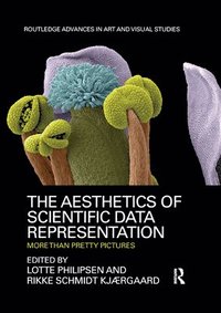 bokomslag The Aesthetics of Scientific Data Representation