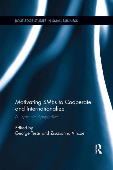 George Tesar, Zsuzsanna Vincze - Motivating SMEs to Cooperate and Internationalize, Häftad
