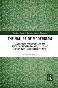 bokomslag The Nature of Modernism