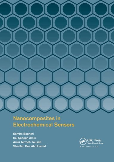 Samira Bagheri, Iraj Sadegh Amiri, Amin Termeh Yousefi, Sharifah Bee Abd Hamid - Nanocomposites in Electrochemical Sensors, Häftad
