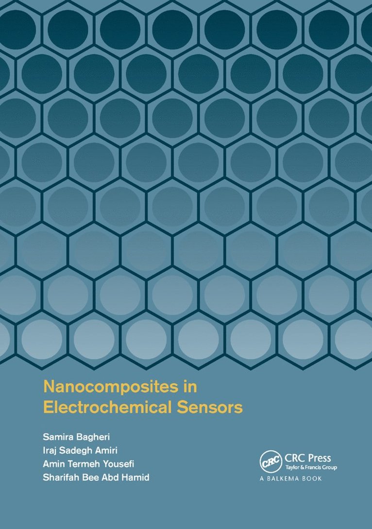 Samira Bagheri, Iraj Sadegh Amiri, Amin Termeh Yousefi, Sharifah Bee Abd Hamid - Nanocomposites in Electrochemical Sensors, Häftad