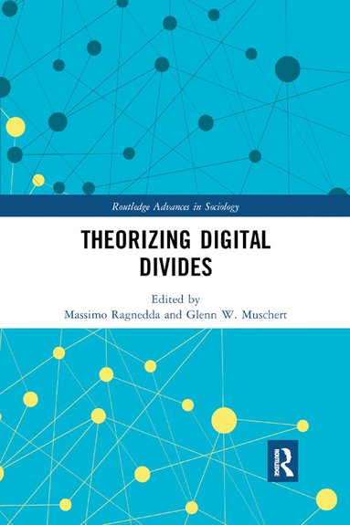 bokomslag Theorizing Digital Divides