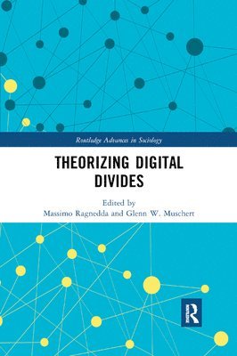 Theorizing Digital Divides 1