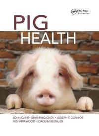 bokomslag Pig Health