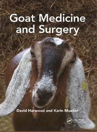 bokomslag Goat Medicine and Surgery