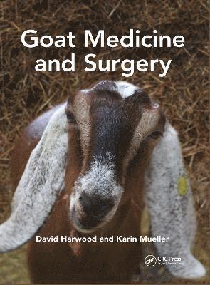 bokomslag Goat Medicine and Surgery