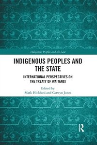 bokomslag Indigenous Peoples and the State