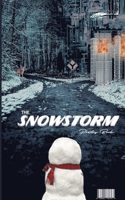 bokomslag The SnowStorm