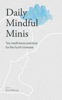 bokomslag Daily Mindful Minis
