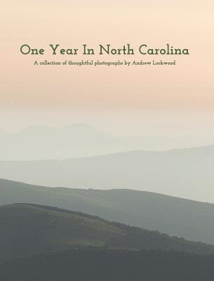 bokomslag One Year In North Carolina