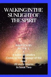 bokomslag Walking in the sunlight of the spiritJourneys in sobriety