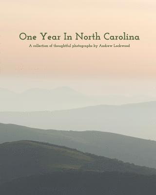 bokomslag One Year In North Carolina