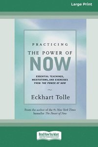 bokomslag Practicing the Power of Now