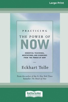 bokomslag Practicing the Power of Now