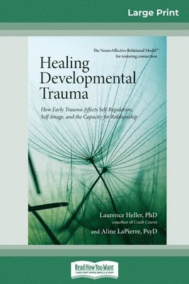 bokomslag Healing Developmental Trauma