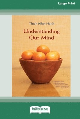 Understanding Our Mind (16pt Large Print Edition) 1