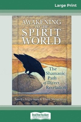 Awakening to the Spirit World 1