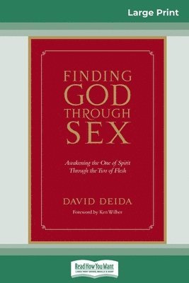 bokomslag Finding God Through Sex