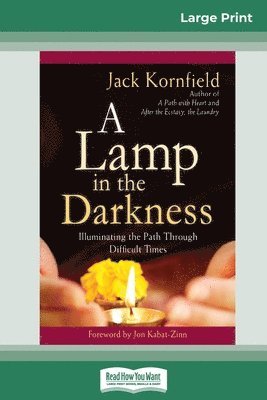 bokomslag Lamp in the Darkness