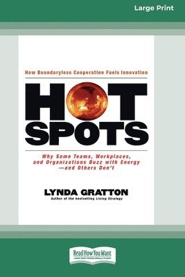 Hot Spots [Standard Large Print 16 Pt Edition] 1