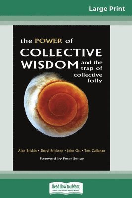 Alan Briskin, Sheryl Erickson, Tom Callanan - Power of Collective Wisdom and the Trap of Collective Folly (16pt Large Print Edition), Häftad