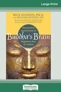 bokomslag Buddha's Brain
