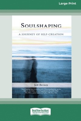 SoulShaping 1