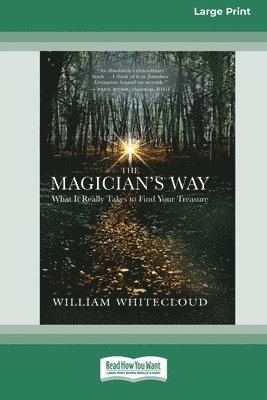 bokomslag The Magician's Way