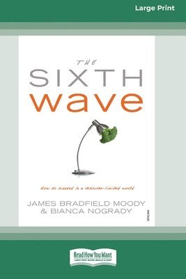 The Sixth Wave (16pt Large Print Edition) 1
