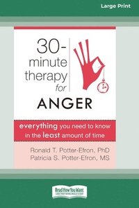 bokomslag Thirty-Minute Therapy for Anger