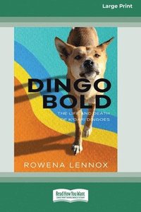 bokomslag Dingo Bold
