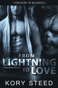 bokomslag From Lightning to Love