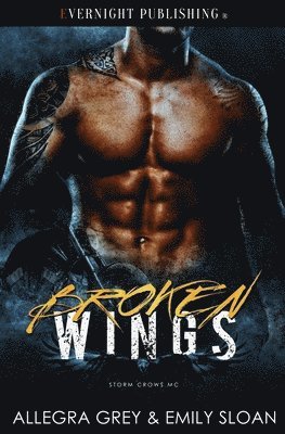 Broken Wings 1
