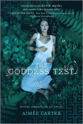 bokomslag The Goddess Test