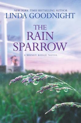 bokomslag Rain Sparrow