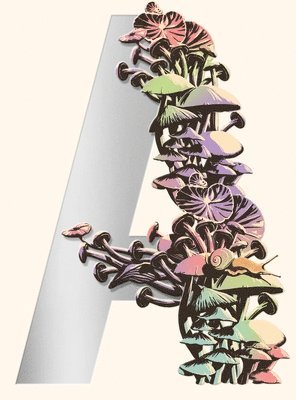 Jeff VanderMeer - Ambergris, Inbunden